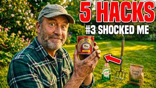 5 Lawn Hacks So Cheap You Won't Believe They Actually Work 2026