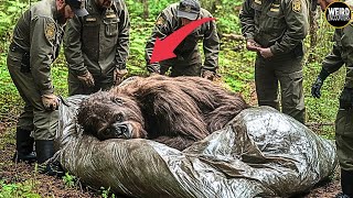 *EXPOSED* COVERUP in WASHINGTON STATE FOREST