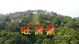 廣西北流沙垌旺桐嶺寅葬卯發風水寶地金交椅，也叫鳳凰地，清代明師曾宏道作品