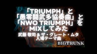 【プロレスカバー曲】「TRIUMPH」と「愚零闘武多協奏曲」と「NWO TRIUMPH」をMIXしてみた