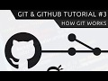 Git & GitHub Tutorial for Beginners #3 - How Git Works