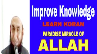 | Paradise Miracle of Allah |Name of Allah|Learn Koran |Improve Knowledge |#Shorts|#viral|#ALLAH|