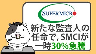 新たな監査人の任命で、スーパーマイクロコンピュータ株が一時30%急騰【2024/11/19】