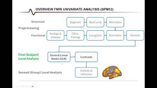 fMRI Analysis with SPM: First Level Analysis (with GUI)