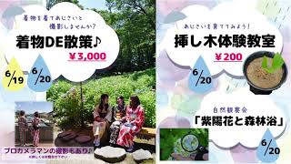 テレビ広報いみず　令和３年６月「行政ピックアップ（太閤山ランド）」