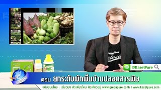 รอบรู้ข่าวเกษตร ตอน ยกระดับผักพื้นบ้านปลอดสารพิษ