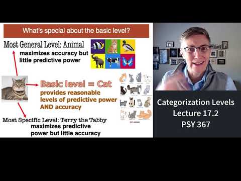 What are the three levels of categorization?