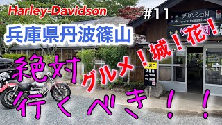 【Harley-Davidson(Z900RS)】#11 兵庫県丹波篠山ツーリング！ご当地グルメ、お城、お花、最高でした！