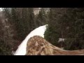 Skiing with an eagle