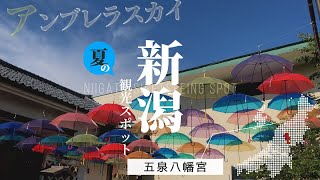 五泉八幡宮｜風鈴棚と虹色のアンブレラスカイが綺麗｜夏のインスタ映えスポット