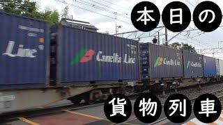 【本日の貨物列車】No.363　2021,7,15　第63番列車　Today‘s freight train