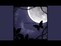 somnium