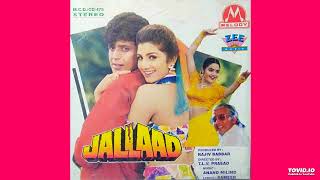 Tumhe Hum Bahut Pyar (Jallaad 1995) - Hariharan, Sadhana Sargam HQ Audio Song