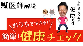 おうちでできる健康チェック【犬と猫はここを見るべし】獣医師解説