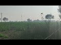 7 acre commercial useable land for sale best in hisar haryana contact no 7015731141