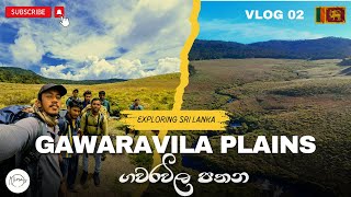 Gawaravila Plains | ගවරවිල පතන | Maskeliya | (VLOG 02) @thediaryofnima