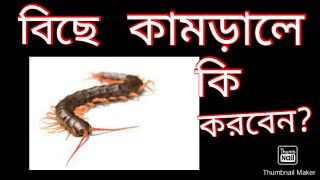 বিছে কামড়ালে কি করবেন ?#বিছে কামড়#বিছে #তেঁতুলেবিছে#Centipede bite#তেঁতুলেবিছে কামড়