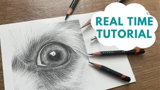 Real Time Graphite Dog Eye Tutorial - Draw with Me!