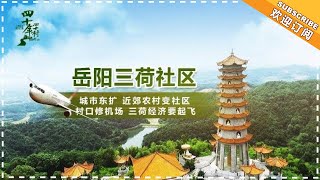 《三湘巨变微纪录·四十年四十村》第8期：“振翅欲飞”的岳阳三荷社区 【芒果TV精选频道】