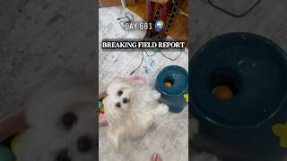 Day 681 Breaking News