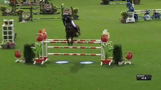 Cornetblue. Stallion. Chacco Blue x Cornets Stern. 2013. 1.50 Mts. Class. CSI Valkenswaard.