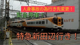 《人身事故の為行き先変更で、特急新田辺行き爆誕！?》近鉄京都線新田辺駅に到着する、30000系ビスタEX!!＃近鉄特急　＃ビスタカー　＃人身事故　＃行き先変更