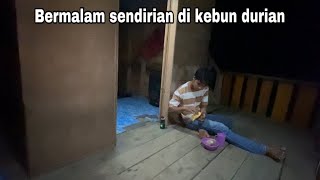 Bangun pagi semangat untuk merawat kembali kebun durian