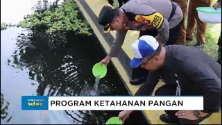 DUKUNG KETAHANAN PANGAN, POLRES HALUT TEBAR 6.000 BENIH IKAN NILA