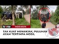 Detik-Detik Mobil Pengangkut Ayam Terguling, Puluhan Ayam Terjepit | tvOne Minute