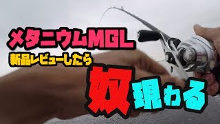 メタニウムMGLのレビュー中にバス釣りしたら･･･