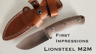 Lionsteel M2M First Impressions