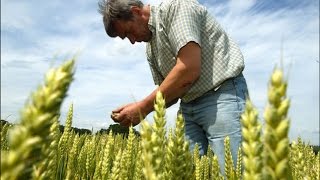 ¿Por qué es importante el agricultor?