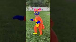 Swiper - Dora The Explorer Costume