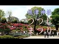 根津神社 つつじまつり2015 根津神社 つつじまつり2015