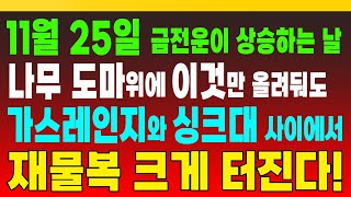 11월 25일, 금전운이 상승하는 날, 나무 도마 위에 이것만 올려줘도 가스레인지와 싱크대 사이에서 재물복 크게 터진다! (돈복 터지는 생활풍수)