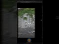 Learn Camera Setup in Blender!