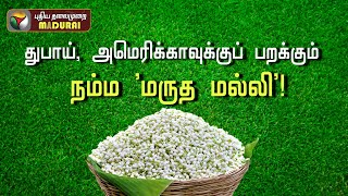 துபாய், அமெரிக்காவுக்குப் பறக்கும் நம்ம 'மருத மல்லி'! | Madurai Malli | PT Madurai