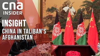 China Invests In Taliban's Afghanistan: A Friend In Need? | Insight | Full Episode