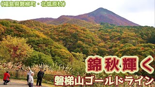 錦秋輝く山岳道路　磐梯山ゴールドライン（福島県磐梯町・北塩原村）