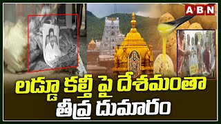 లడ్డూ కల్తీ పై దేశమంతా తీవ్ర దుమారం | Laddu Adulteration | Tirumala | ABN Telugu