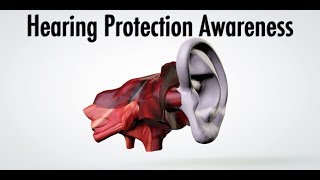 Protecting Workers with Occupational Health: Hearing Protection