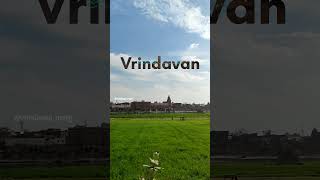 vrindavan की हवा हवा में प्यार है