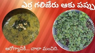 ఎర్ర గలిజేరు ఆకు పప్పు /  yerra galijeru aaku dal in telugu/ punarva recipes