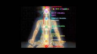 Quick 7 Chakra healing & cleansing Meditation || 21 minutes only || Seed Mantra chanting ||