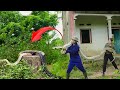 FULL VIDEO: Horrible - Scared | Abandoned House Protected by Giant Python - Cleaning & Mowing