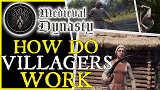 Medieval Dynasty | How do VILLAGERS WORK 👨‍🌾👷| Guide \u0026 Tips