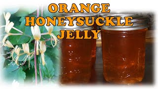 Orange Honeysuckle Jelly - How to Make & Can | Useful Knowledge