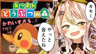 【あつまれどうぶつの森】カモミとカモミの生活がはじまるぞ！？絵描きがピザばら撒いた島気にいってくれるかな…？【鴨見カモミ／バーチャルアーティスト】