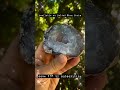 trancas geode polished face cut base natural high quality crystal geode