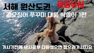 원산도권 보령권 갑오징어 쭈꾸미포인트 공개